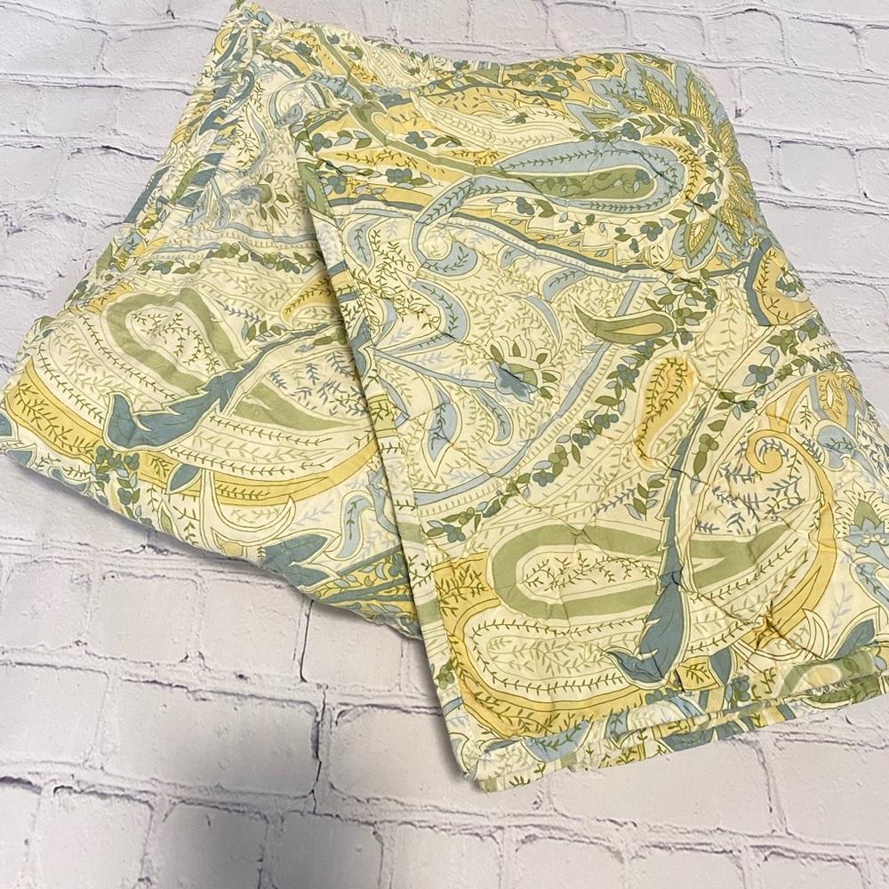 Pottery Barn floral paisley cotton standard shams